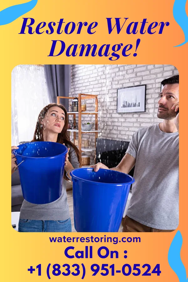 water restoration Best Water Repair Company Wolf Summit