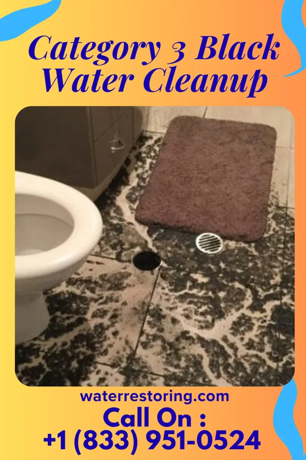 Category 3 Black Water Cleanup in Wolf Summit, WV