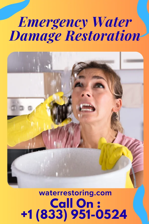 Emergency Water Damage Restoration in Wolf Summit, WV