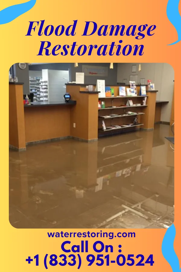 Flood Damage Restoration in Wolf Summit, WV