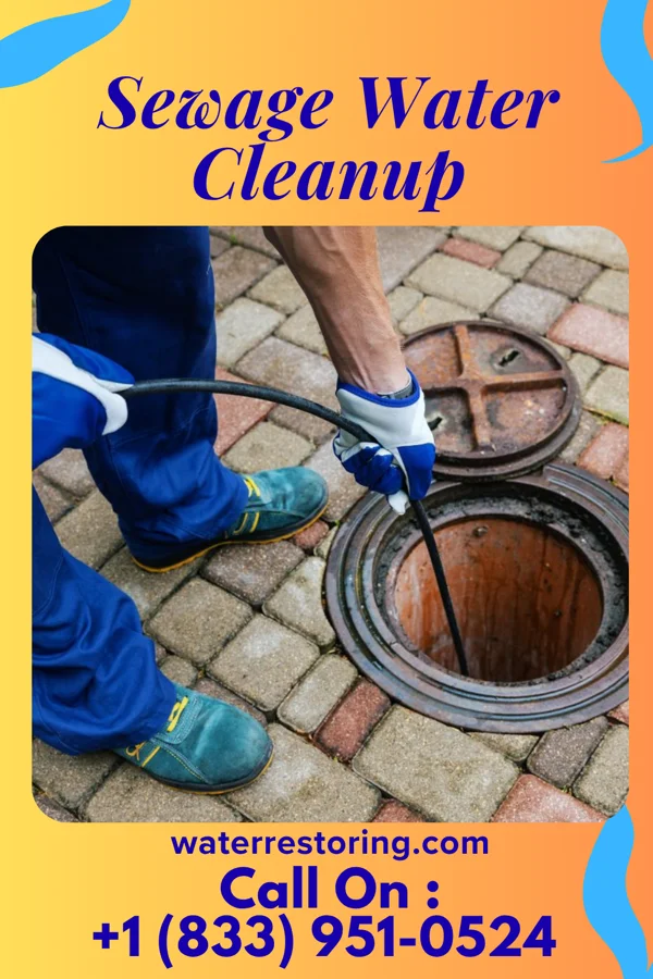 Sewage Water Cleanup in Wolf Summit, WV